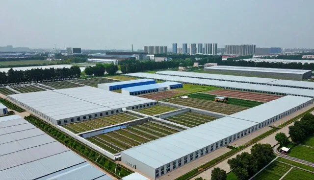 商务代理服务如何适应市场变化与业务趋势
